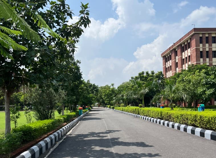 Amity University Greater Noida Campus photo 3